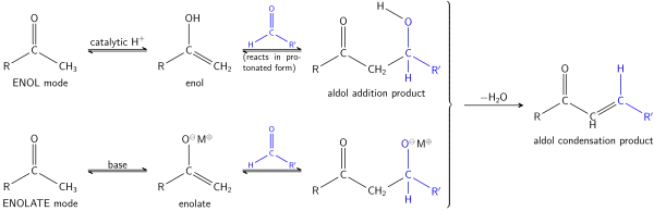 The Aldol reaction