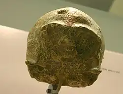 Singa es un H. sapiens, encontrado en África, de hace más de 120 000 años.