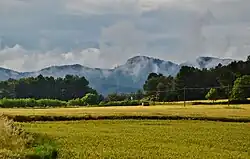 Sistema Prelitoral Central