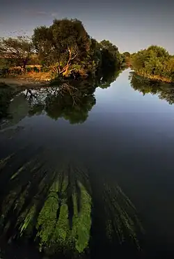El Sitnica desde el puente Vojinović en Vushtrri
