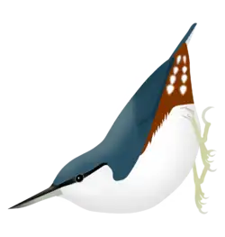 Dibujo con fines ilustrativos.