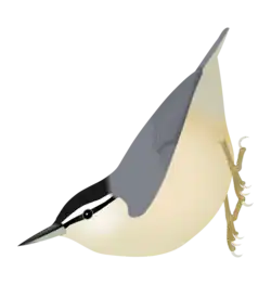 Dibujo con fines ilustrativos.