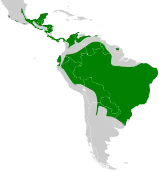 Distribución geográfica del trepatroncos olivaceo.