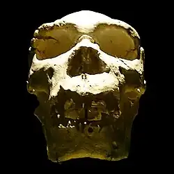 Cráneo 5, llamado Miguelón, de frente