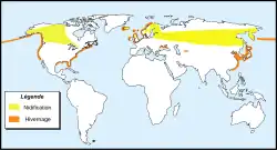 Distribución del zampullín cuellirrojo