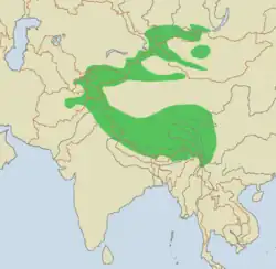 Rango histórico de distribución del leopardo de las nieves (verde), en Asia.