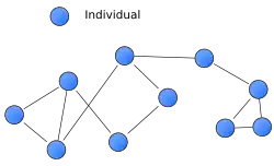 Sociograma de una red social