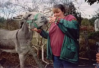 Nutrición básica para el ganado doméstico