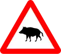 P-24a Paso de animales en libertad (jabalíes)