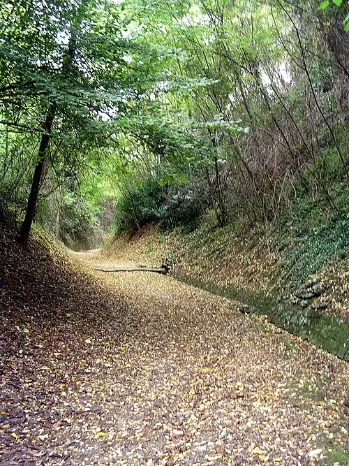 Côte de Brille, première voie d'accès à Saint-Sever. Lieu légendaire du martyre de saint Sever, elle est toujours fréquentée par les pèlerins de Saint-Jacques-de-Compostelle sur la voie Limousine.