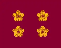 standarte del Viceministro de Defensa de Japón.