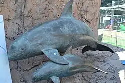 Se ha establecido un Grupo de trabajo mediante el cual se da seguimiento quincenal al cumplimiento del Plan de Acción para prevenir la pesca y comercio ilegal de totoaba y proteger a la vaquita marina.