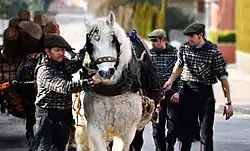 Fiesta de los Tonis de Taradell