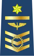 Suboficial Maestre de Fuerza Aérea Boliviana