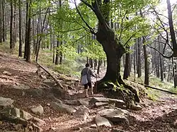 Montaña muy concurrida entre los senderistas