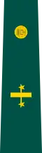 Insignia Teniente coronel del Ejército