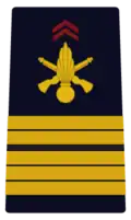 Coronel del Ejército de Tierra