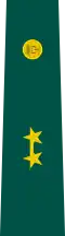 Insignia de Teniente del Ejército.