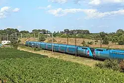 Passage d'un train, près de Saint-Aunès (34).