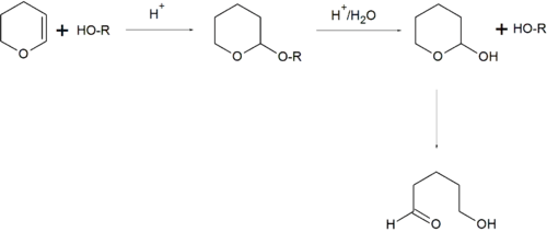 Grupos protectores THP