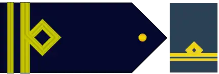 Insignias de Teniente de la Fuerza Aérea Argentina.