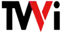 Logotipo de TVVI entre 2008 y 2010.