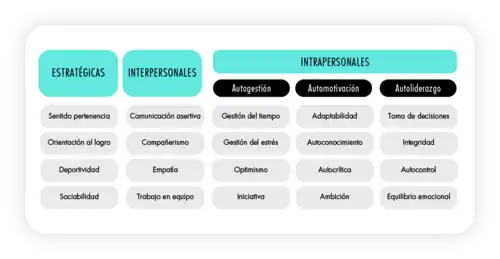 Competencias que desarrolla el plan