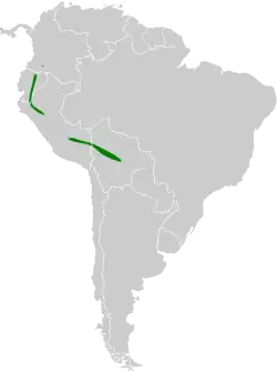 Distribución geográfica del colibrí moteado