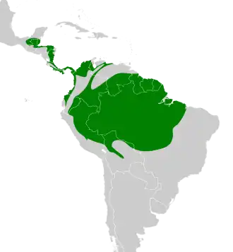 Distribución geográfica del mosquerito colirrojo.