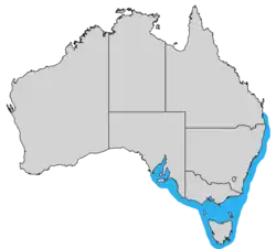 Distribución del Tetractenos glaber