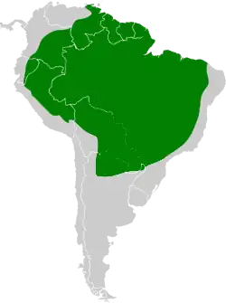 Distribución geográfica del colibrí golondrina