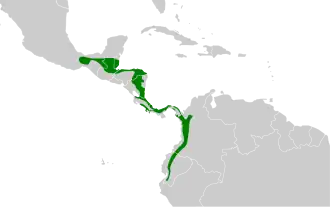 Distribución geográfica del batará café.