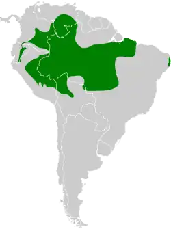 Distribución geográfica del batará hombroblanco.