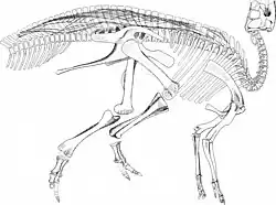 Representación de Kritosaurus incurvimanus (Gryposaurus notabilis) por William Arthur Parks.