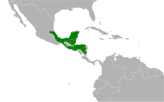 Distribución geográfica de la tangara aliamarilla.