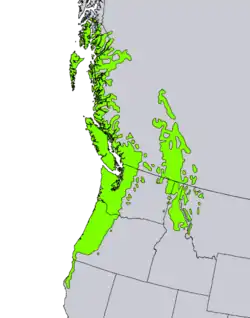 Representación digital del "Atlas of United States Trees" por Elbert L. Little, Jr.