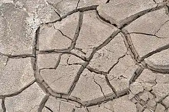 Aridificación provocada por una inundación