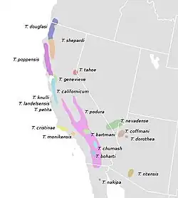 Distribución geográfica de especies de Timema en Norteamérica (Law & Crespi, 2002). T. morongense se encuentra al oeste de T. chumash pero no se conoce su distribución total.[1]​