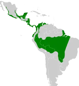 Distribución geográfica del titira enmascarado.