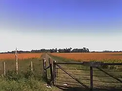 Explotación agropecuaria.