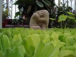 Escultura en el estanque.