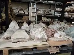 Área de investigación