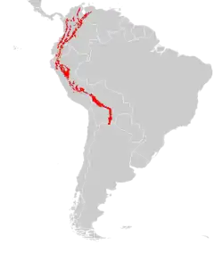 Distribución del oso andino