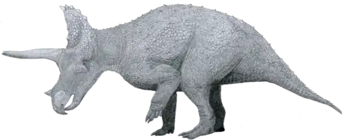 Triceratops