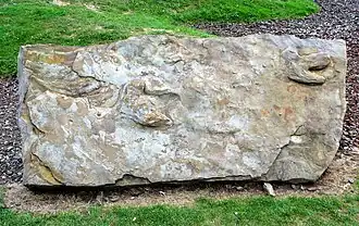 Icnitas tridáctilas en el exterior del Museo