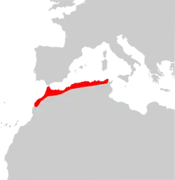 Mapa de distribución.