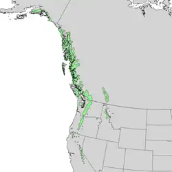 Área de distribución natural de Tsuga mertensiana