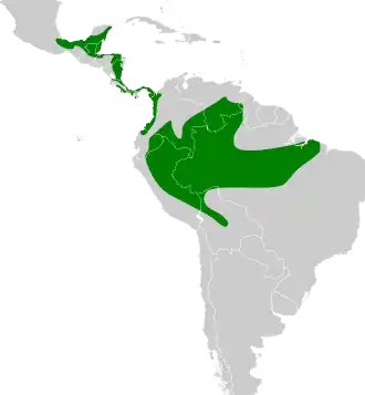 Distribución geográfica del verdillo leonado, excluyendo T. o. luteifrons.