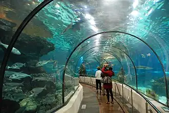 Túnel acristalado del Oceanario.