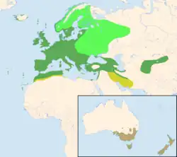Distribución del mirlo común (Turdus merula):
